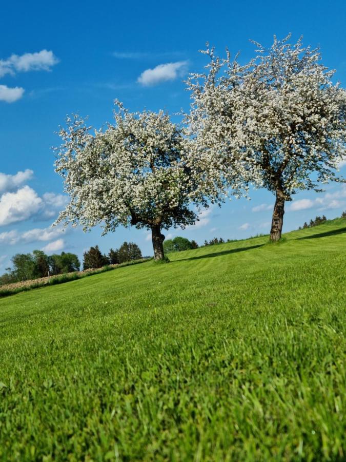 Ferienhaus Ritzmais Bischofsmais Eksteriør bilde